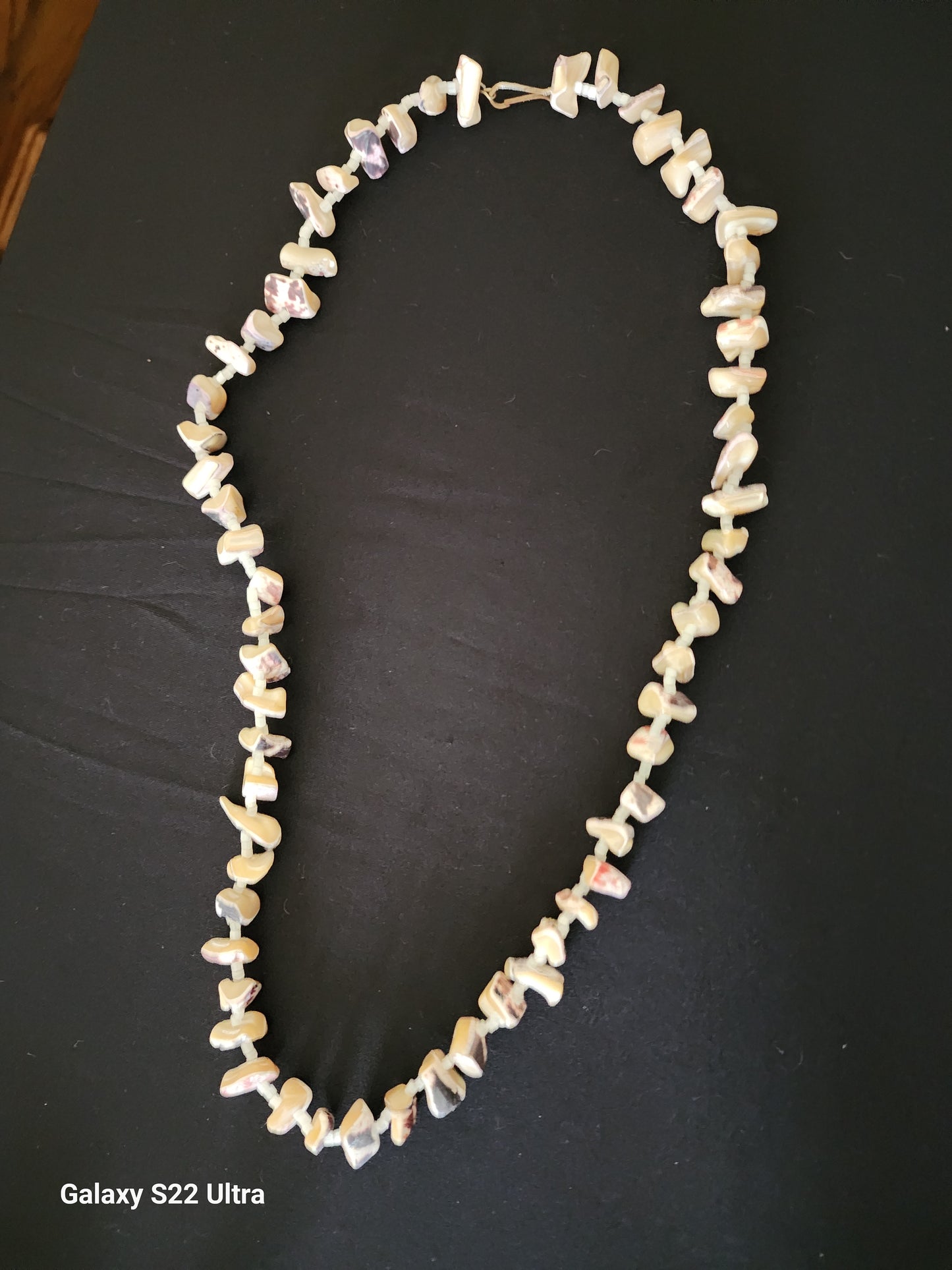 Natural Shell Vintage Necklace